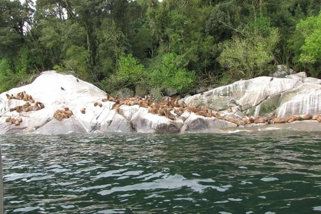 termas comau Estero Lago